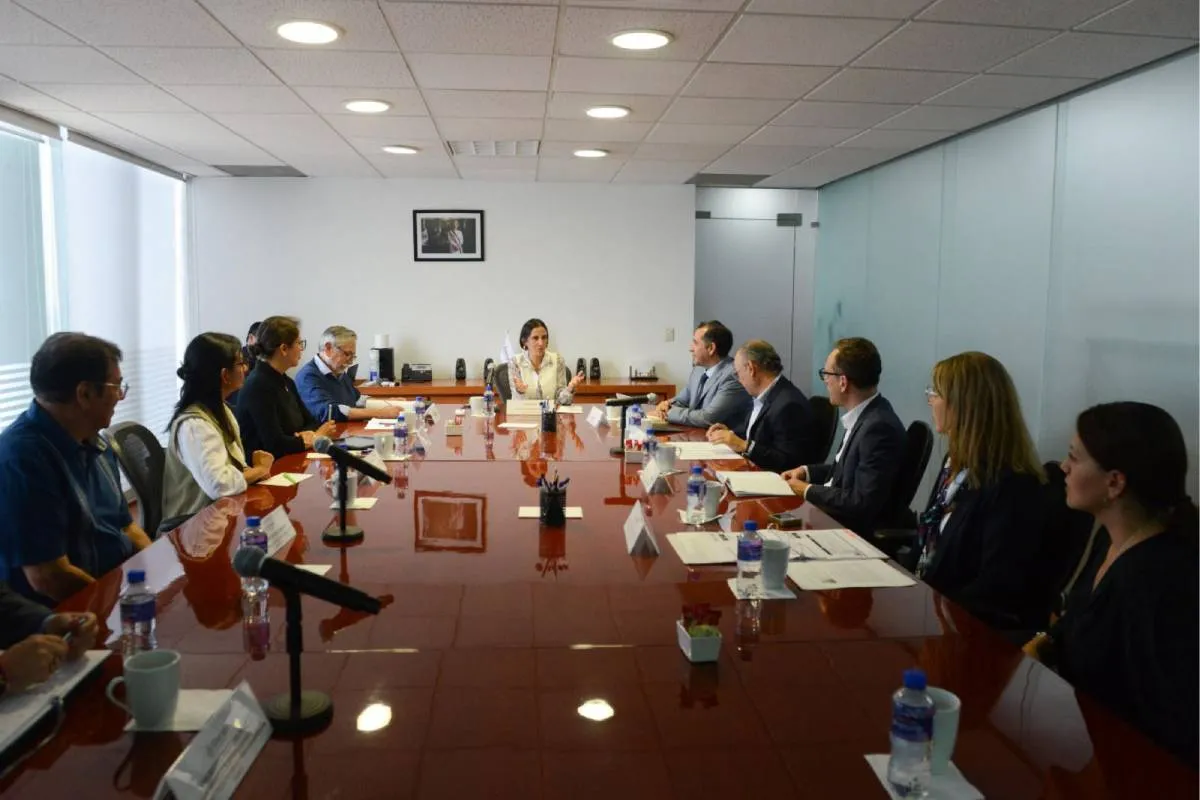 Este Comité está conformado por altos funcionarios de la Secretaría de Energía, directivos de la CNE y tres expertos jóvenes, de reconocida trayectoria en el sector.