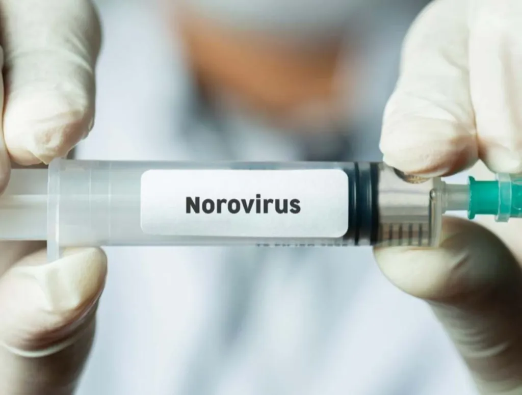 Una vacuna oral podría combatir el norovirus