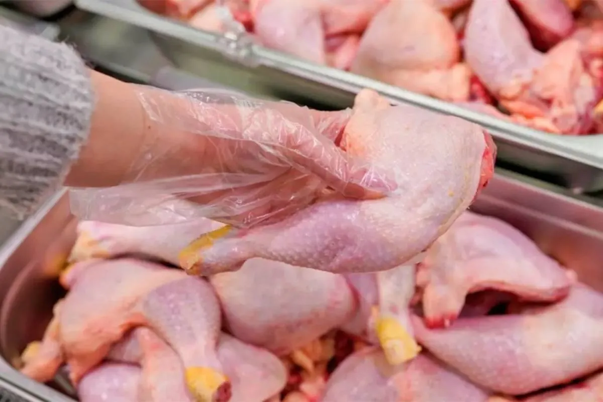 México suspende importaciones de carne de pollo desde Brasil por influenza aviar