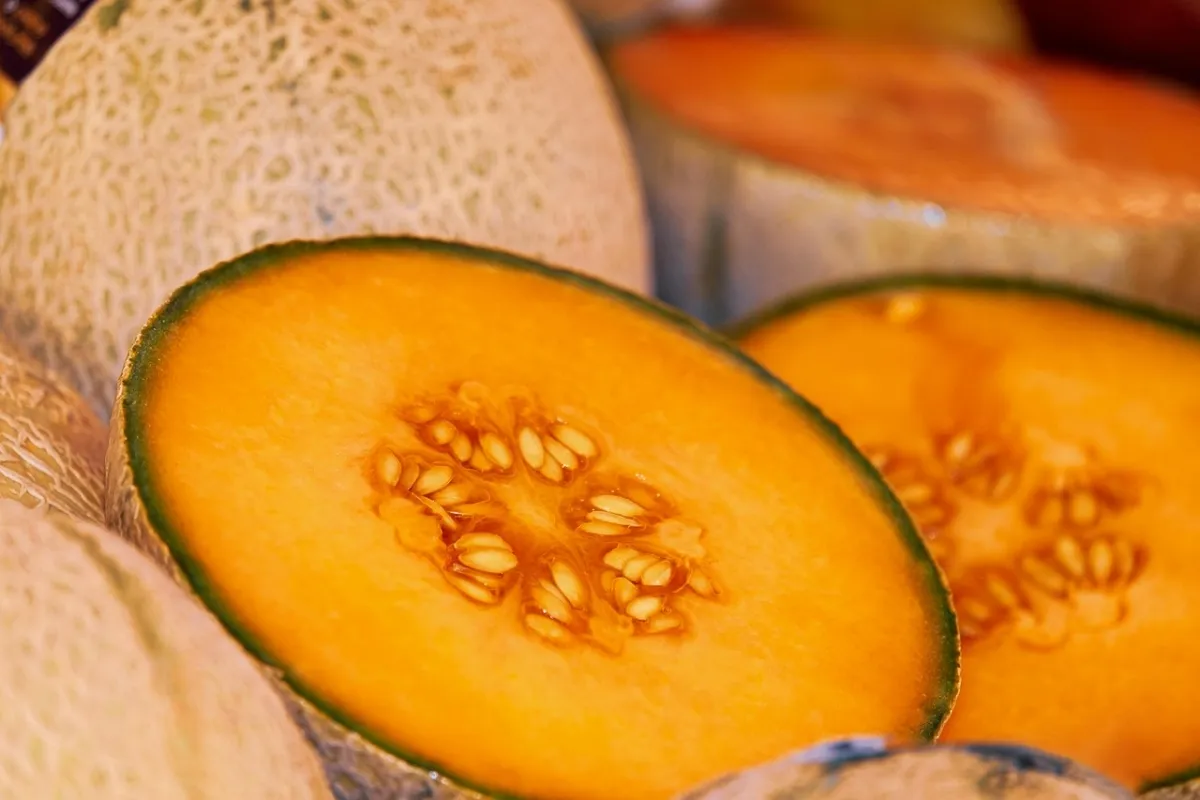 La Profeco dio a conocer el precio de frutas como el melón y la ciruela, además de vegetales como el betabel. | Foto: Pexels.
