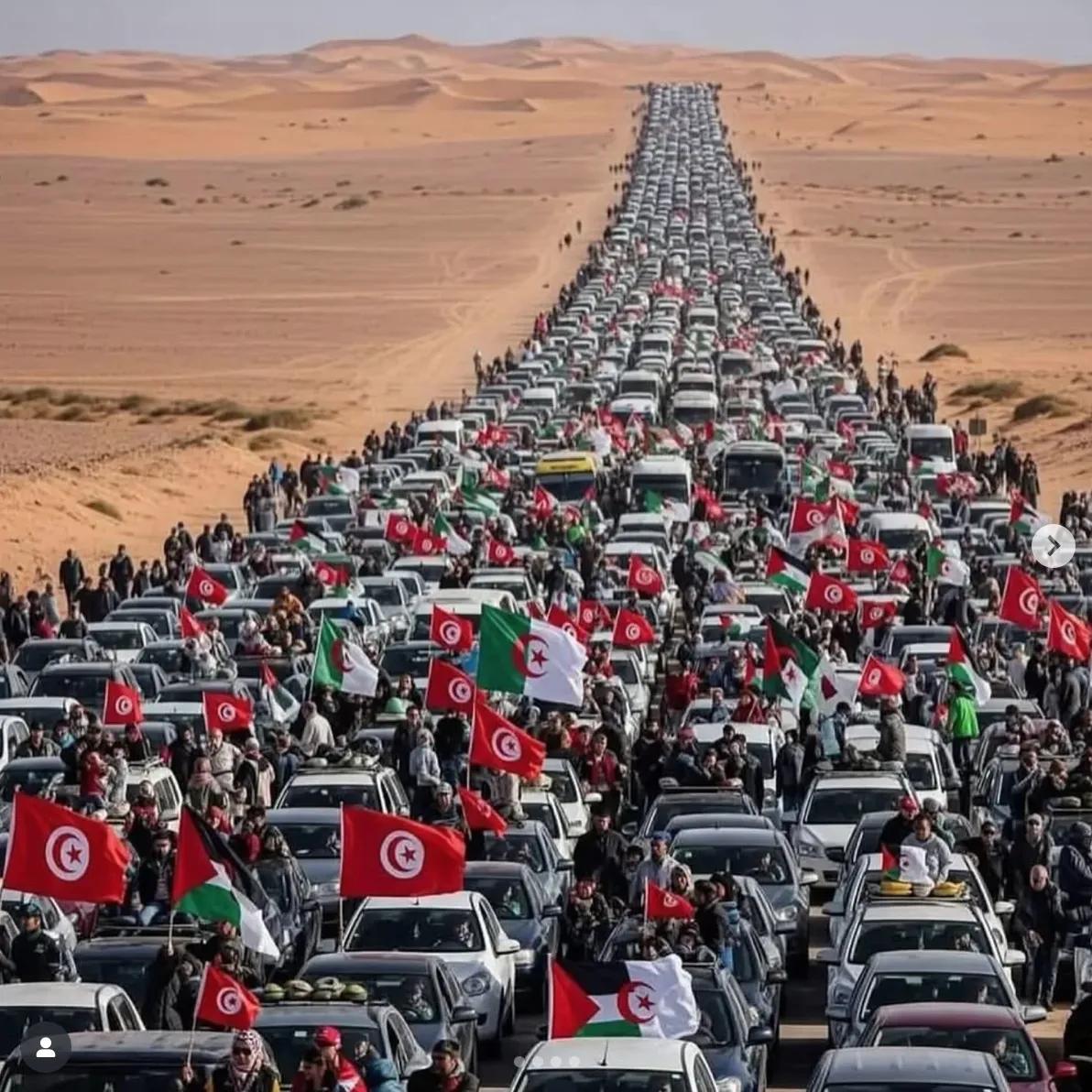 Miles de personas de todo el mundo se reúnen en Al-Arish, Egipto, para marchar hacia el cruce de Rafah en apoyo al pueblo de Gaza.