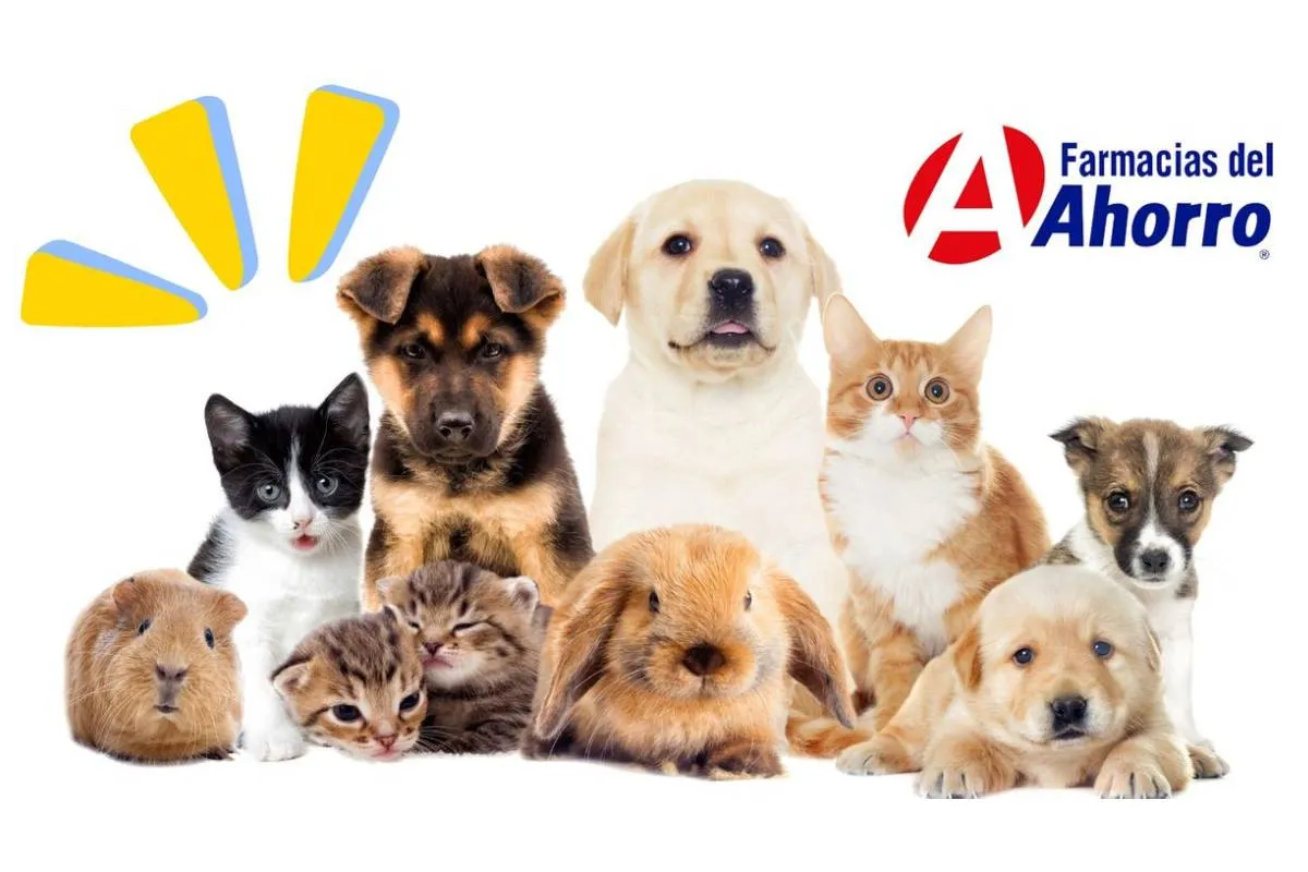 Farmacias del Ahorro entra oficialmente al negocio de las mascotas