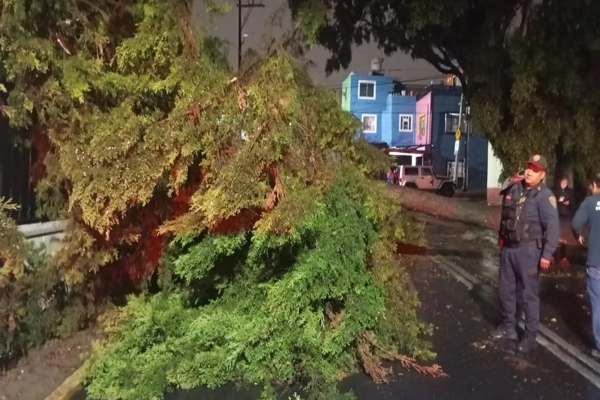 Las alcaldías Cuajimalpa y Álvaro Obregón registraron varias afectaciones por las lluvias del martes. | Foto: X Clara Brugada.