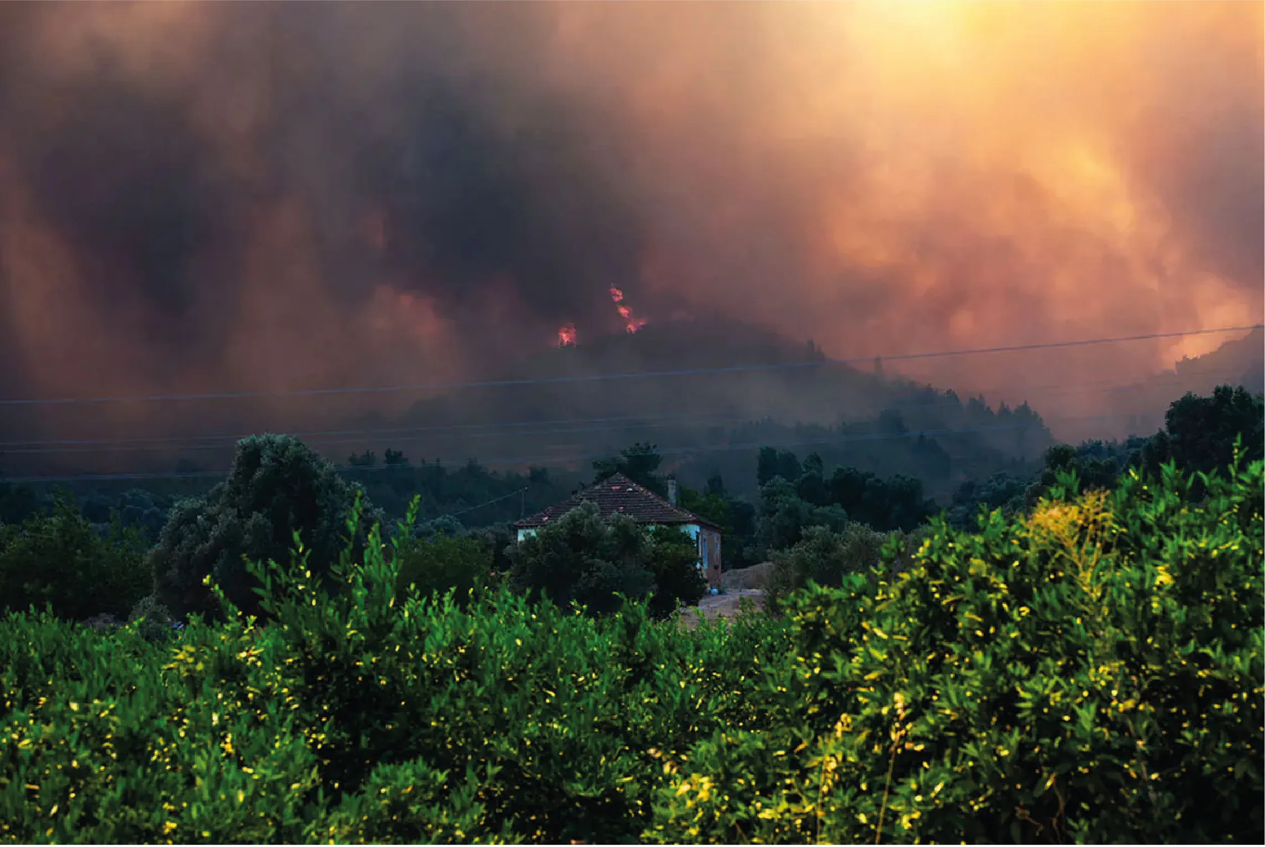 ncendios forestales en Esmirna, Turquía, han obligado a evacuar a miles de personas.