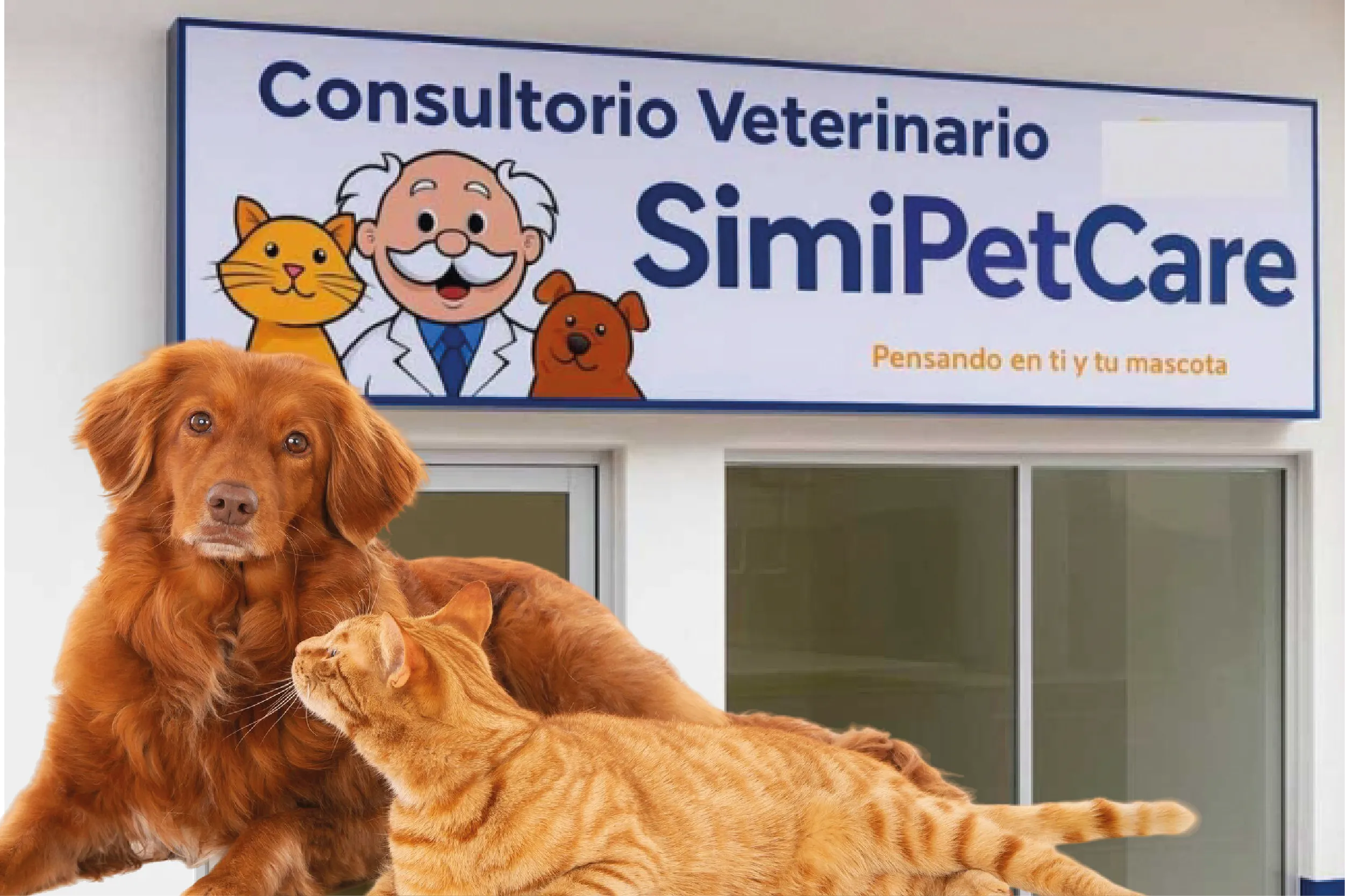 La primera sucursal de SimiPet Care abre en la CDMX, ofreciendo atención veterinaria económica para perros y gatos, al estilo del Dr. Simi.