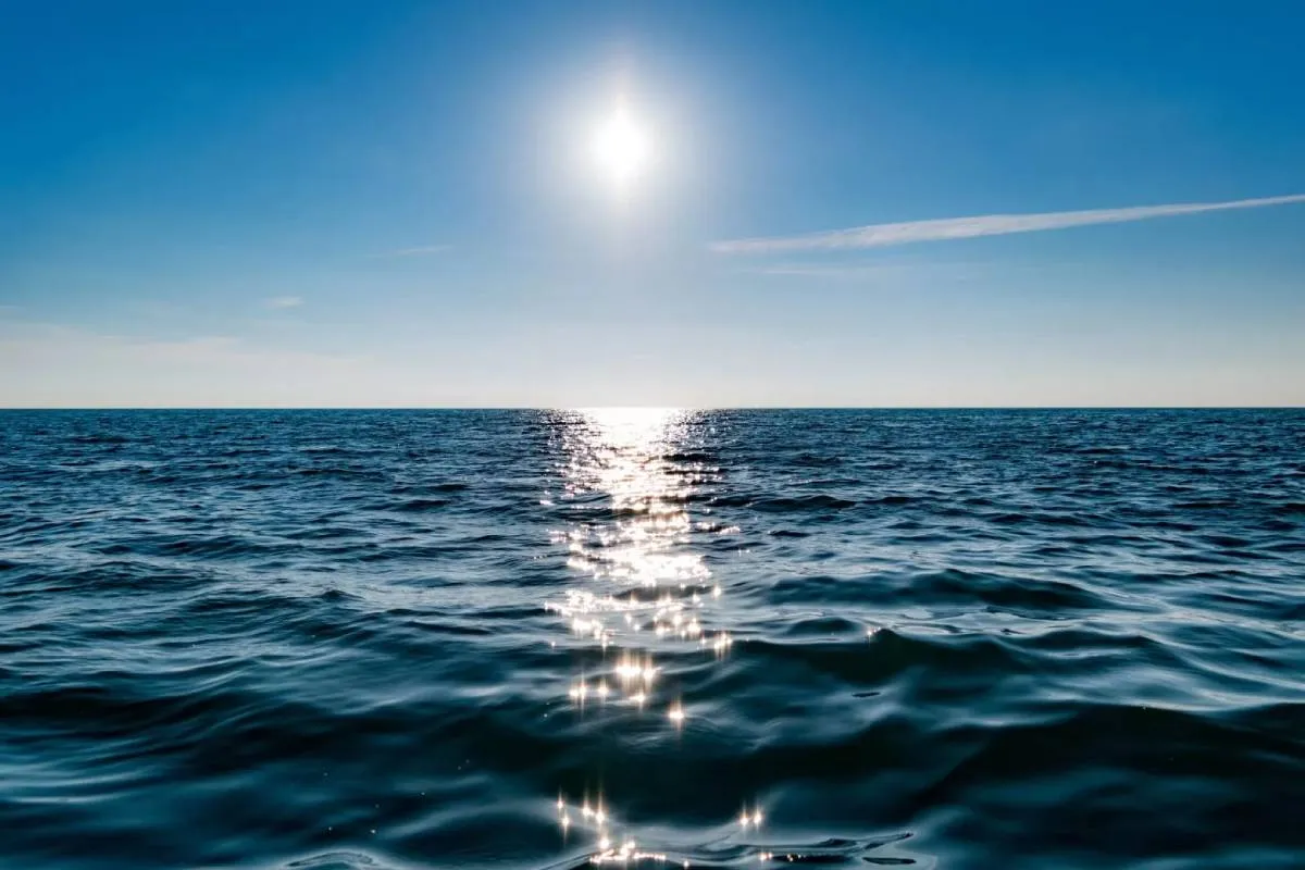 El oscurecimiento de los océanos: Un fenómeno preocupante para la vida marina