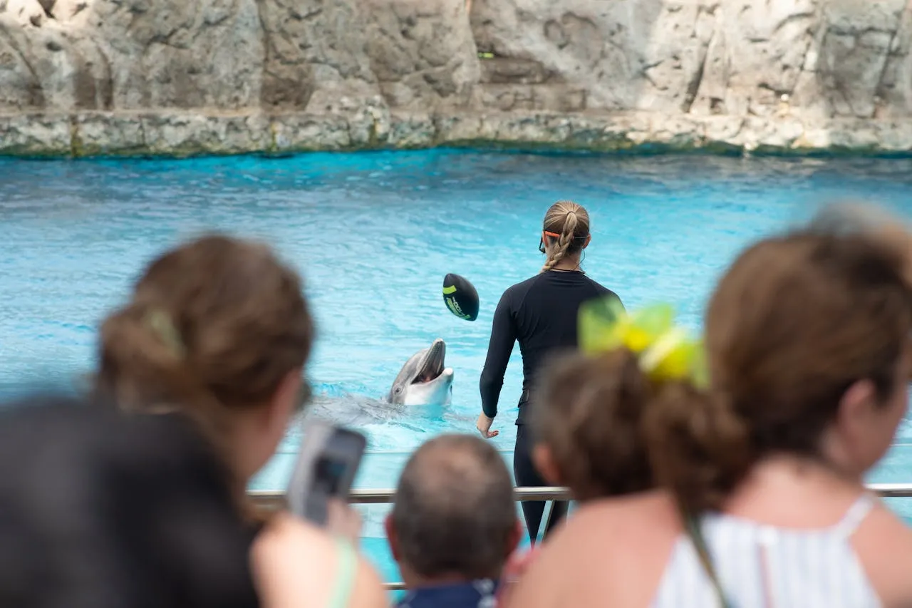 Espectaculo con delfines