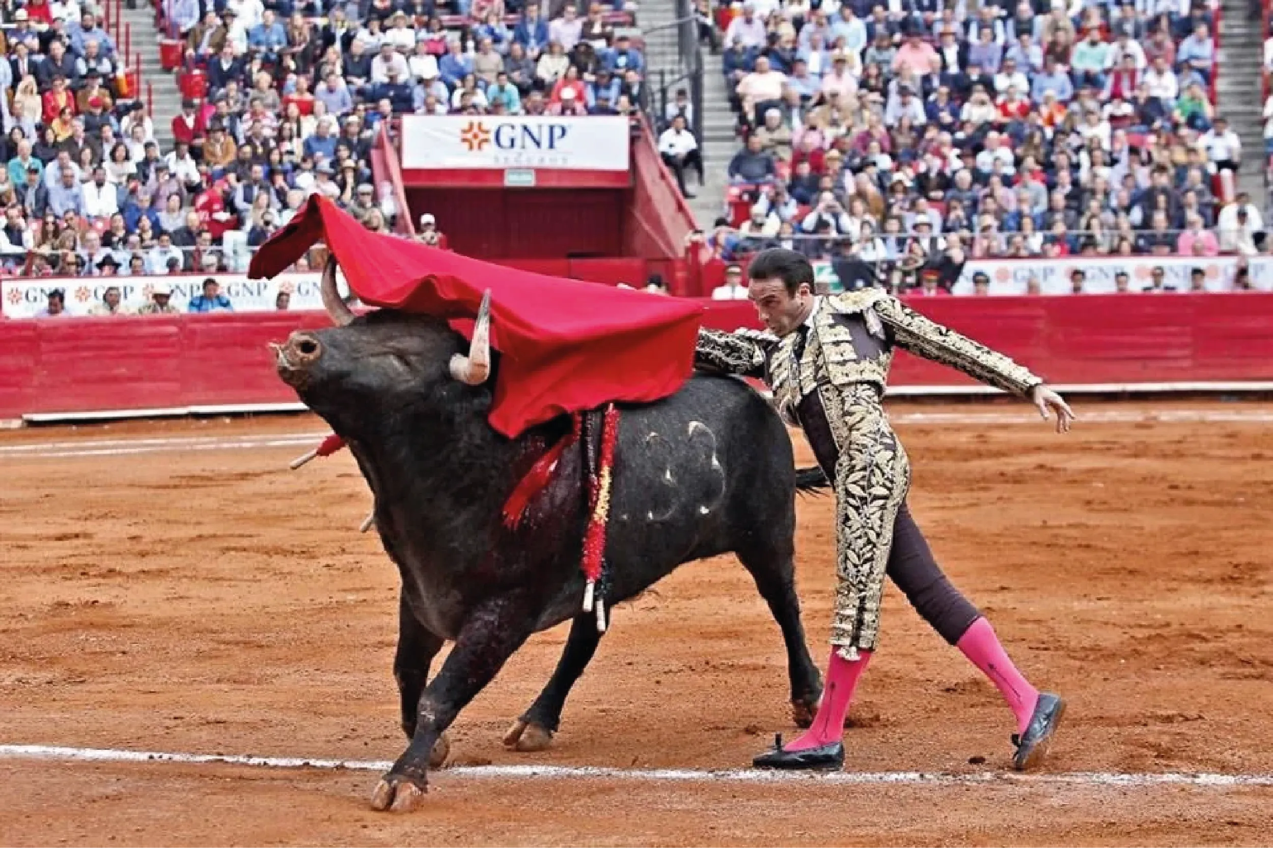 La Plaza México, ícono de la tauromaquia, enfrenta su mayor reto tras la aprobación de una ley que en la práctica pone fin a las corridas en la CDMX.