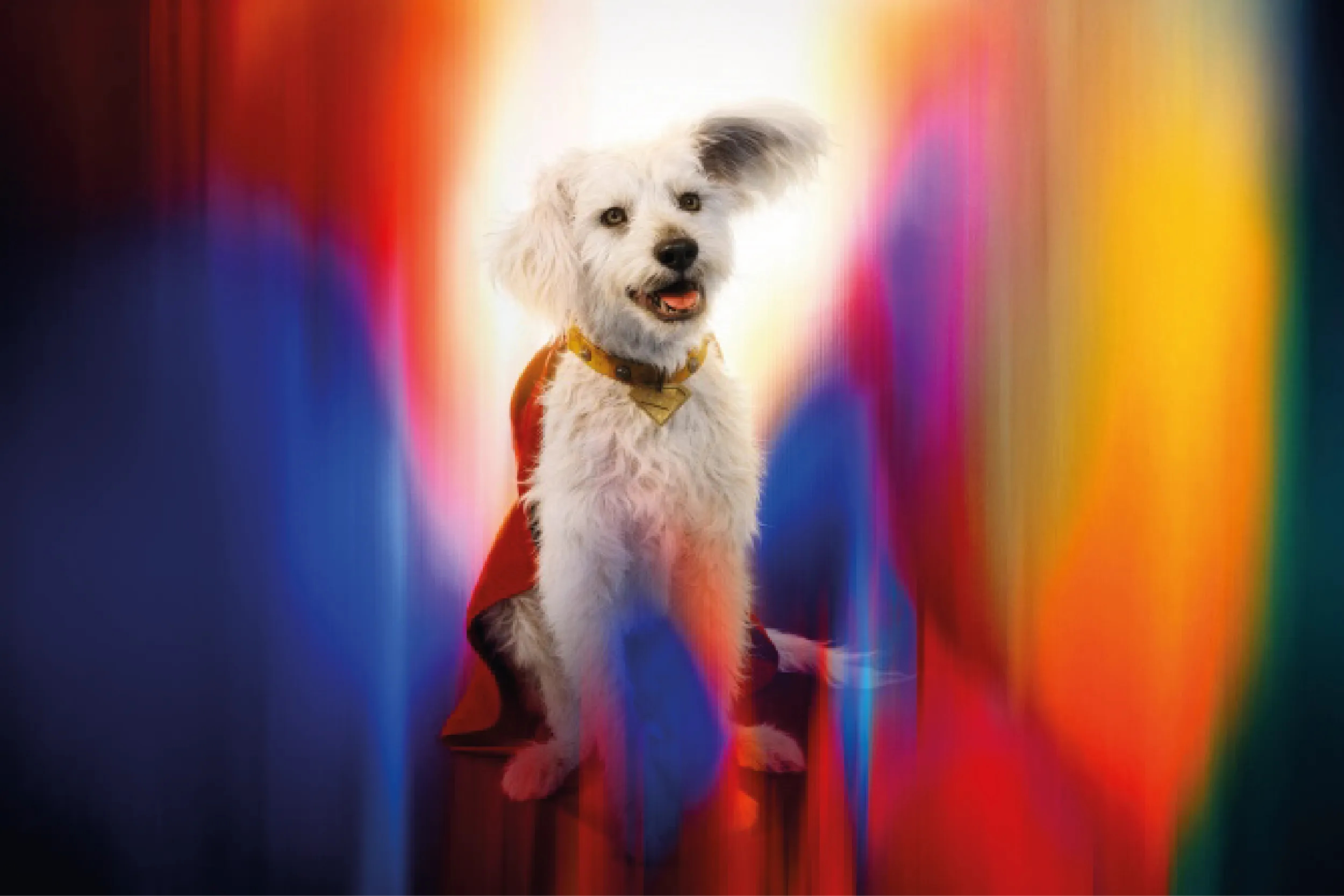 Krypto, el perro de Superman, inspiró una ola de adopciones tras el estreno de la cinta.