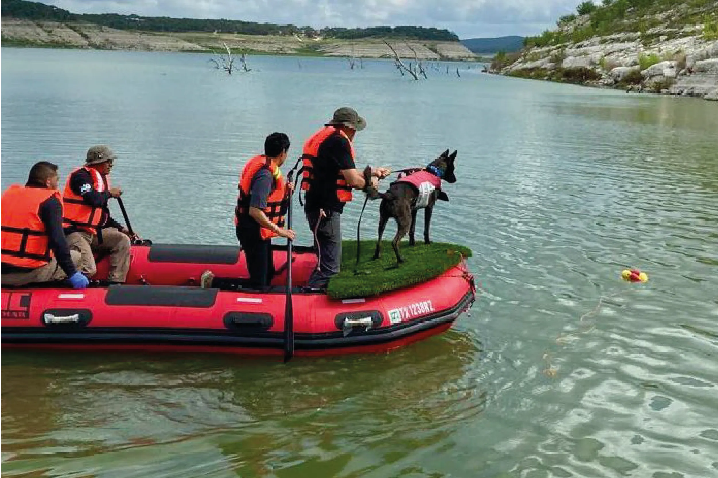 Binomios caninos mexicanos participan en labores de búsqueda tras las inundaciones en Texas