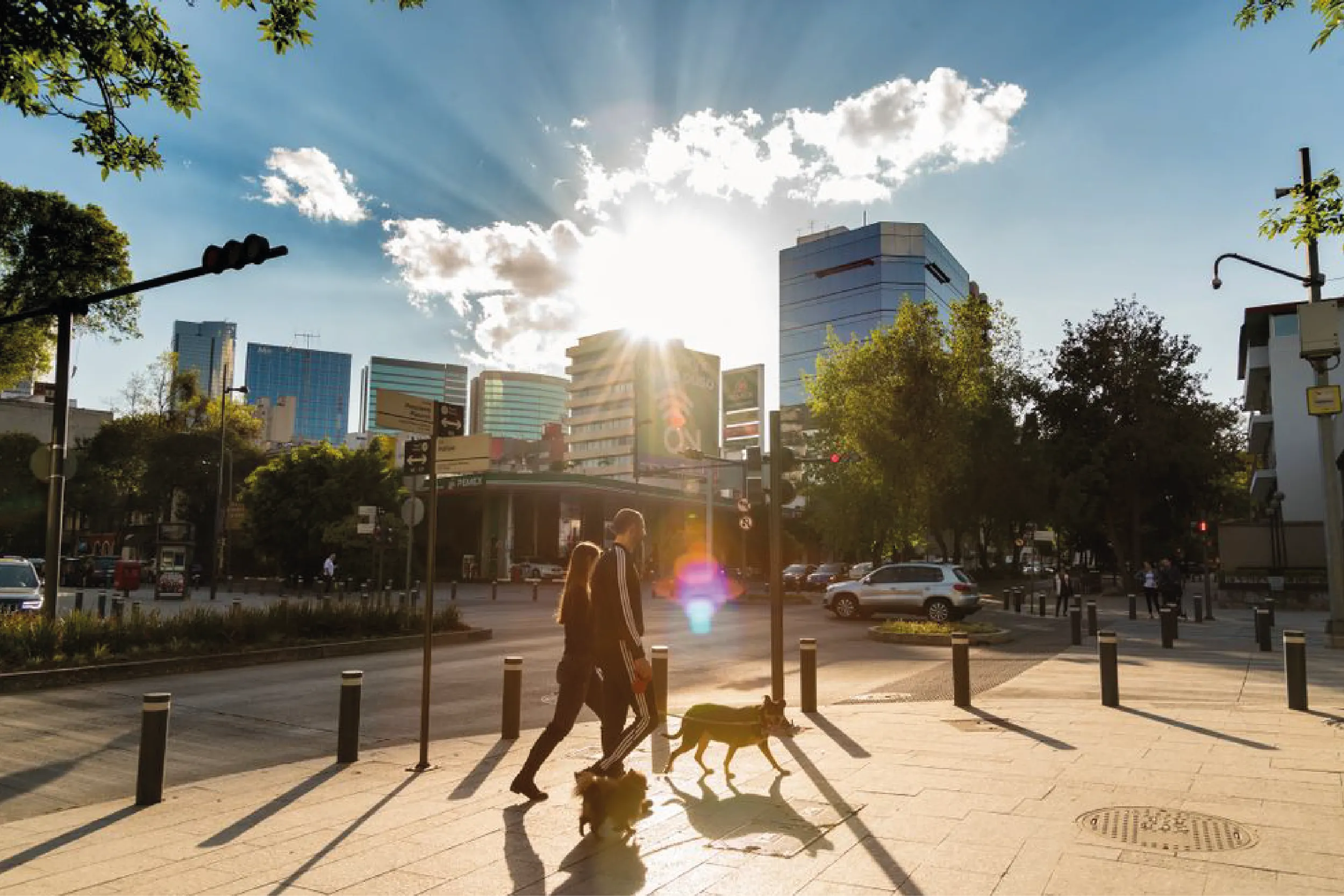 Avenida Presidente Masaryk, símbolo de lujo en Polanco.