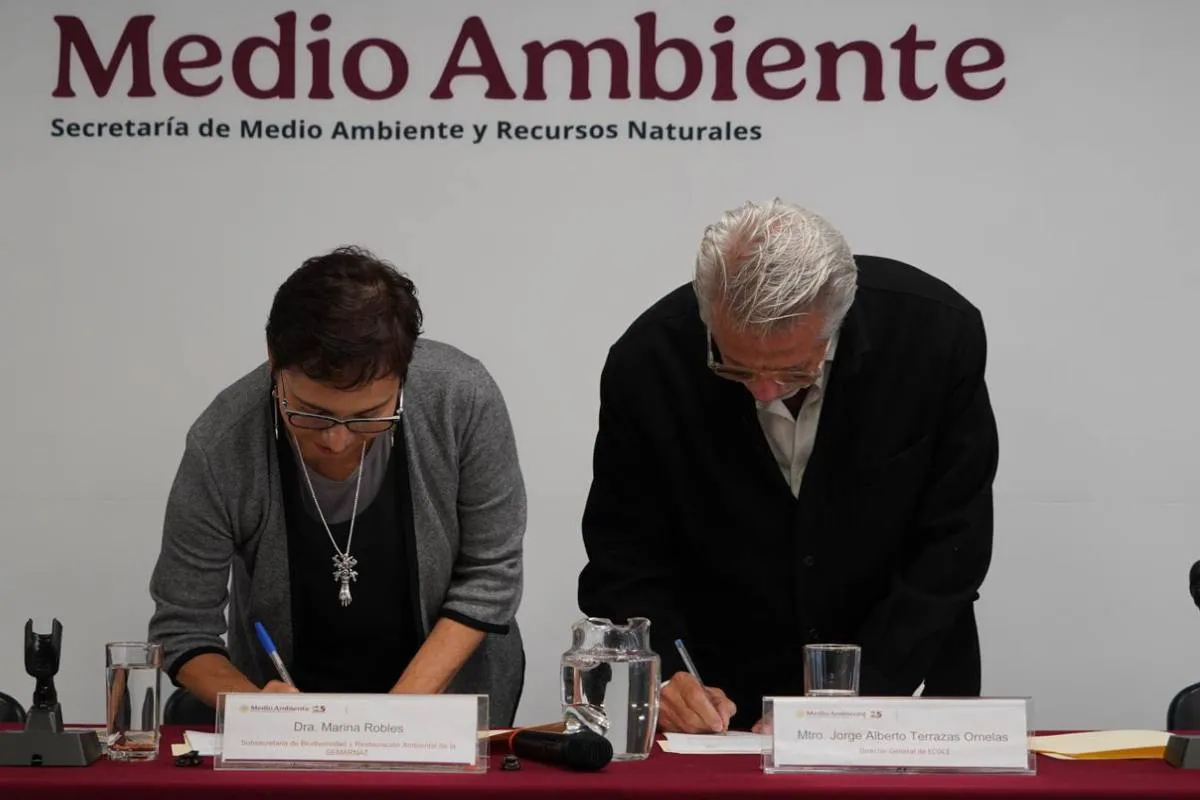Se busca contribuir a la gestión integral de residuos que incluye la separación, el acopio y reciclaje de envases y empaques post-consumo, promoviendo la economía circular. Foto: Semarnat