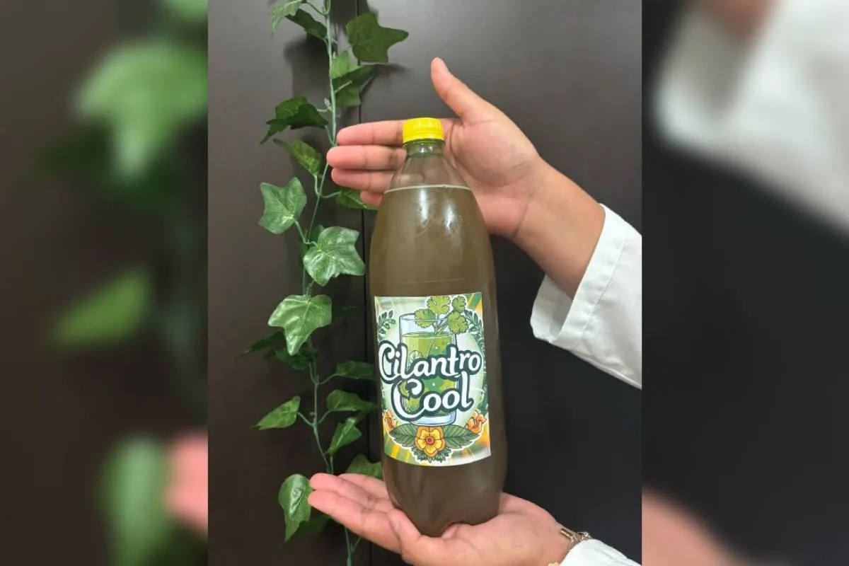 Refresco de cilantro: innovación veracruzana que transforma la tradición en salud