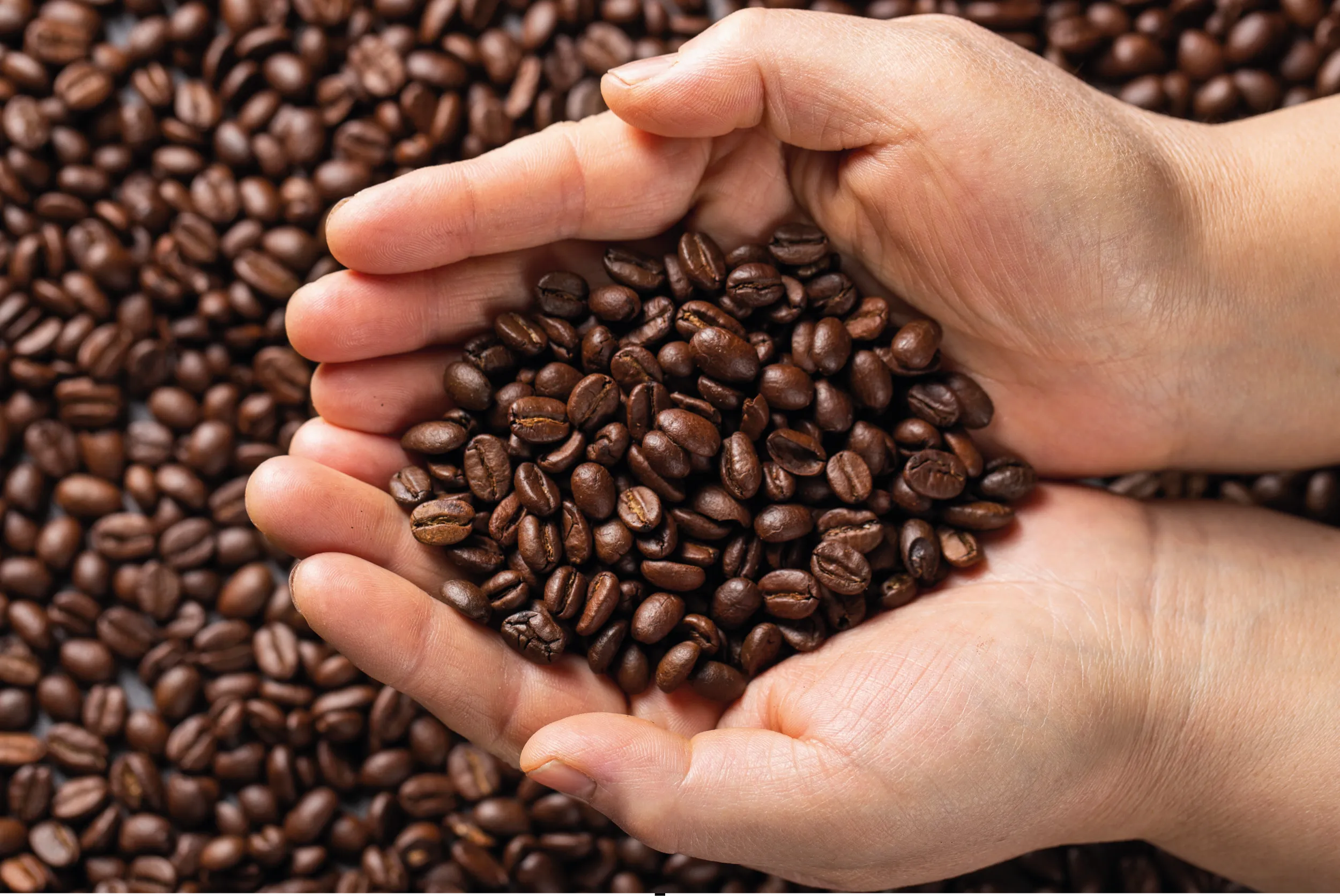 Los precios del café en EE.UU. aumentan tras un arancel del 50% al grano brasileño. Colombia podría ocupar parte del mercado.