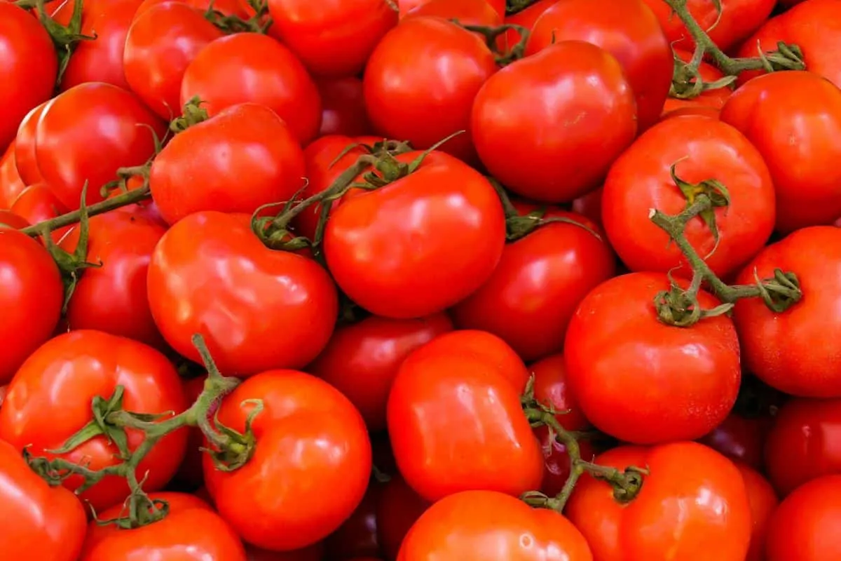 Este Acuerdo cuenta con el respaldo de todas las asociaciones de productoras y productores de jitomate. Foto: Pexels