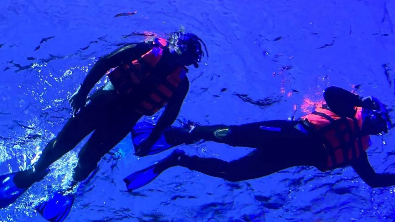 Experiencias de buceo y snorkel en las aguas de Sinaloa