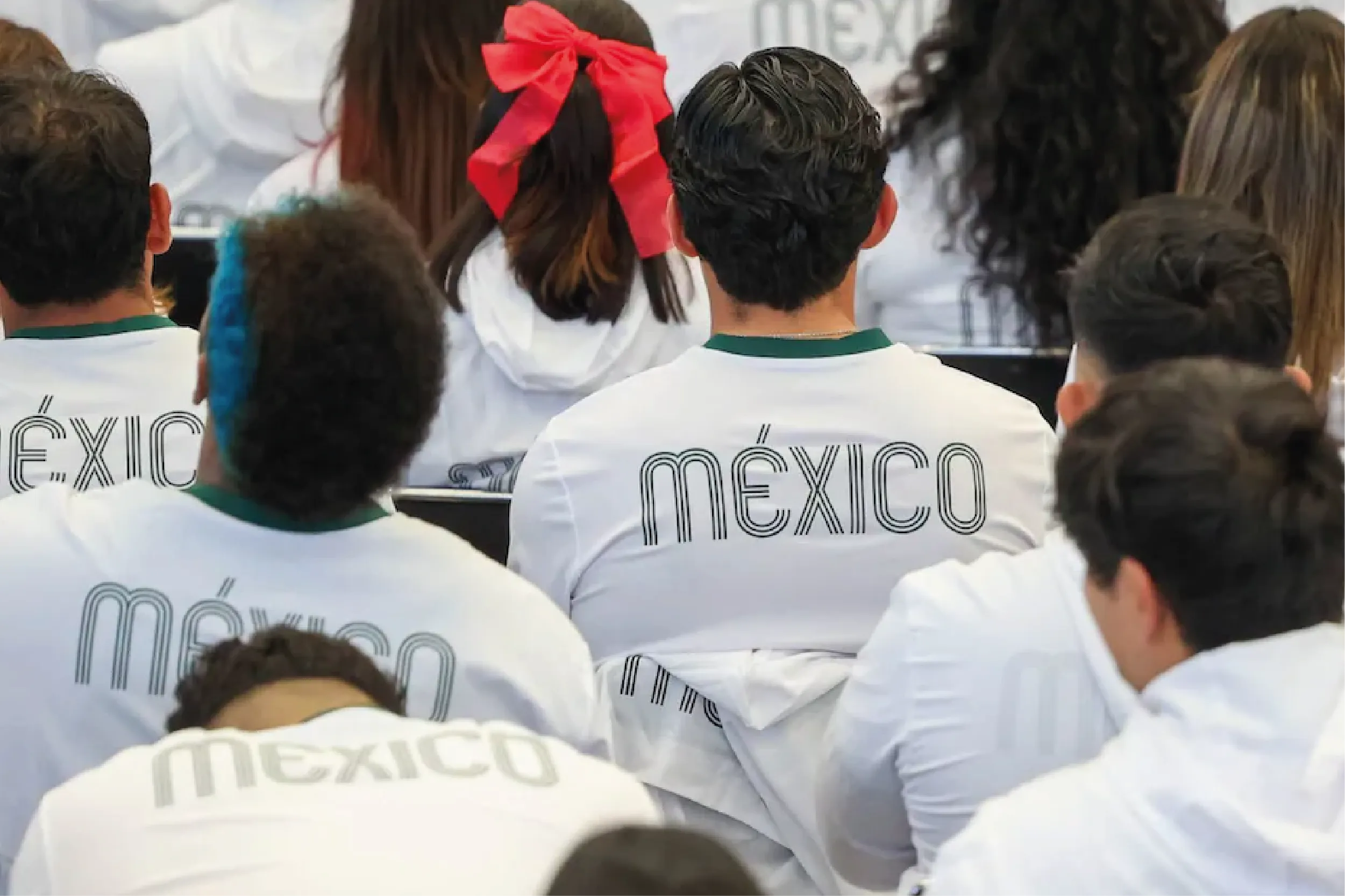 Robo y venta ilegal de más de 900 uniformes deportivos del Comité Olímpico Mexicano (COM), valuados en aproximadamente 500 mil pesos.