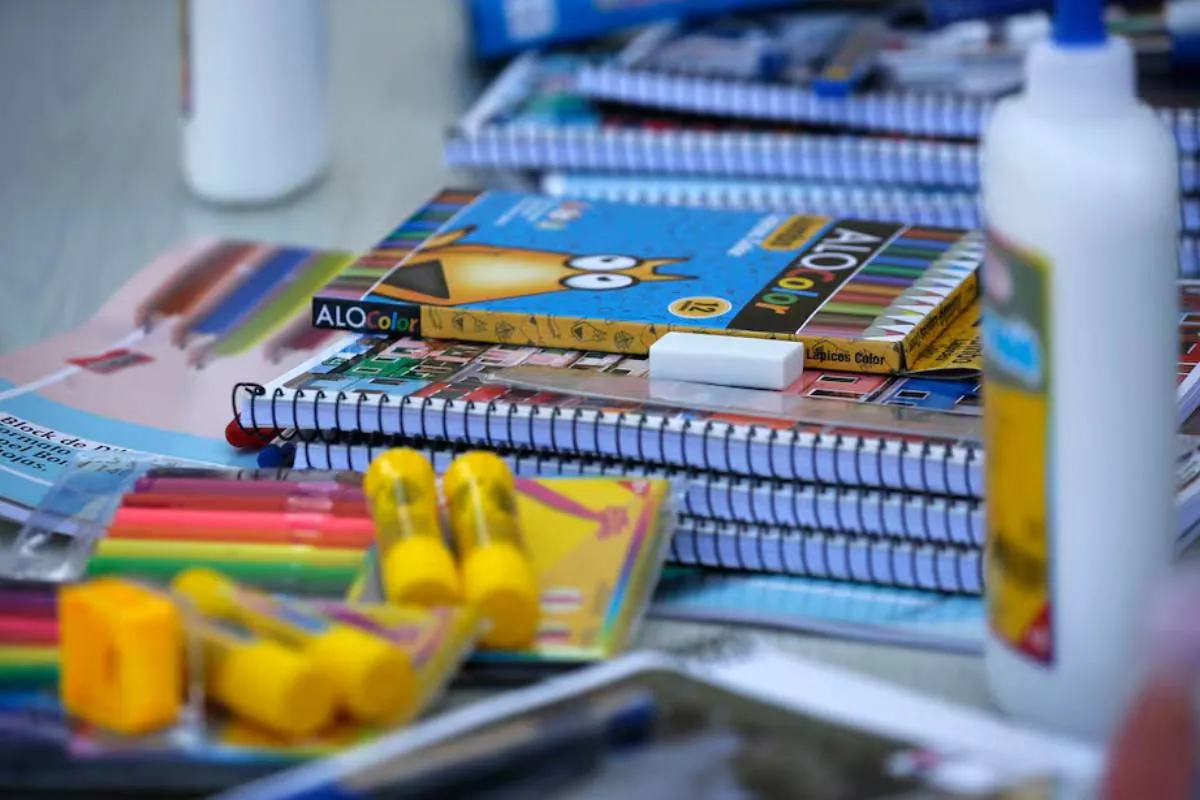 Útiles escolares importados afectan economía familiar