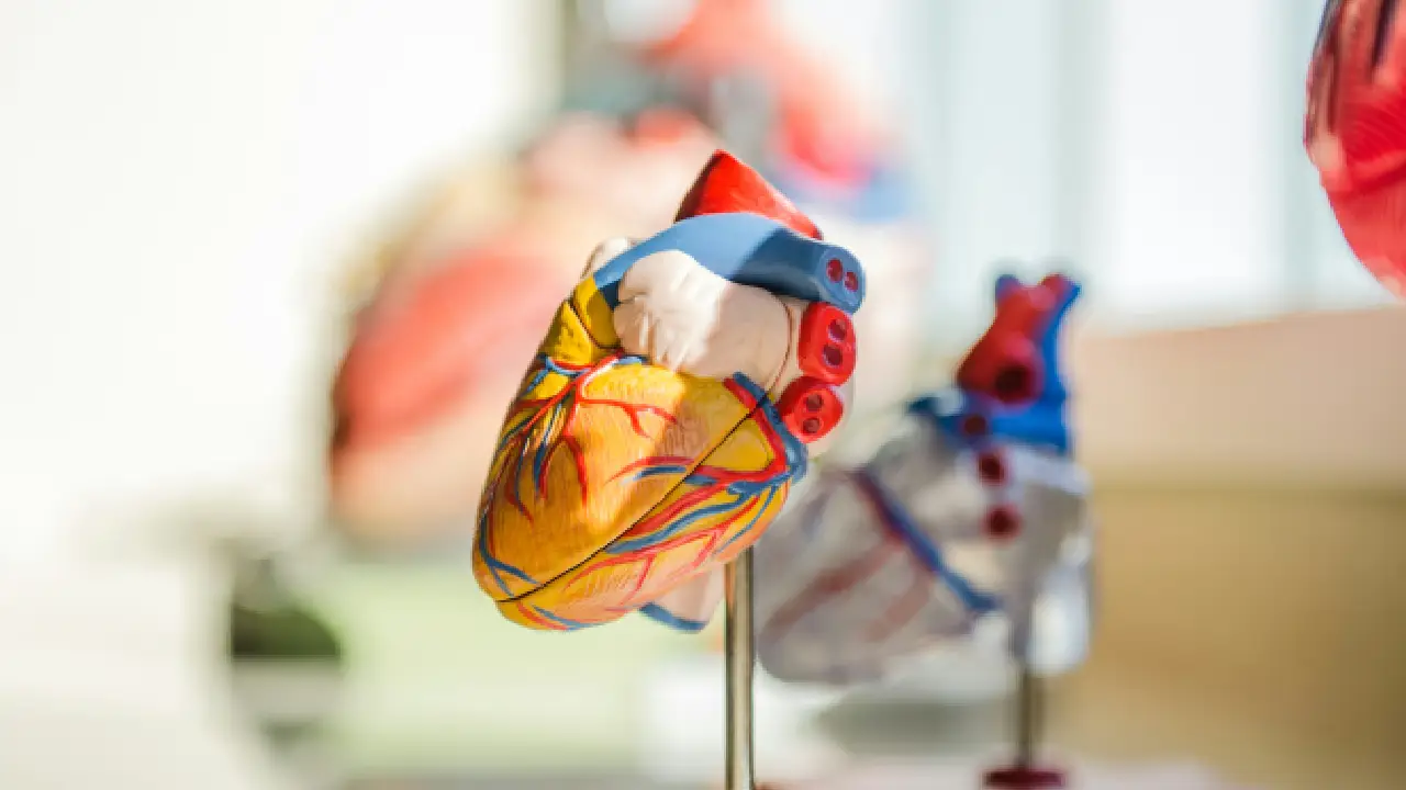 La Secretaría de Salud creó el Protocolo Nacional de Atención Médica (PRONAM) sobre hipertensión arterial para reforzar el diagnóstico y tratamiento.