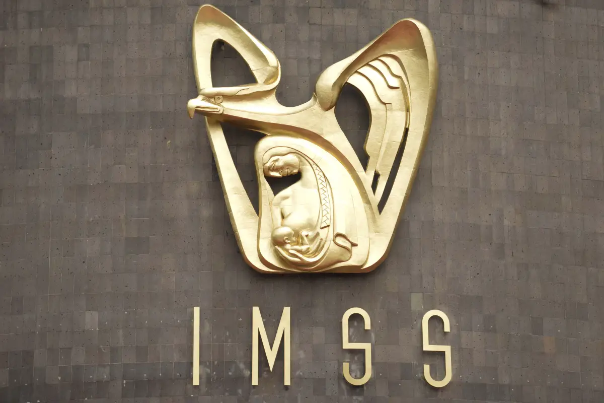 La base de datos de pensionados del IMSS se habría filtrado a la dark web. | Foto: Wikimedia Commons.