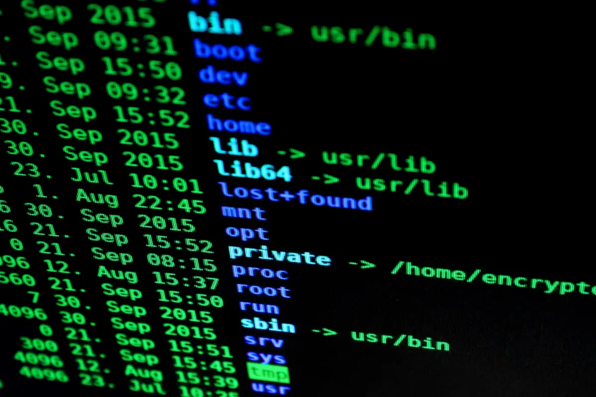 La autonomía y seguridad del INE son esenciales para mantener la confianza ciudadana en la democracia mexicana. Foto: Pexels