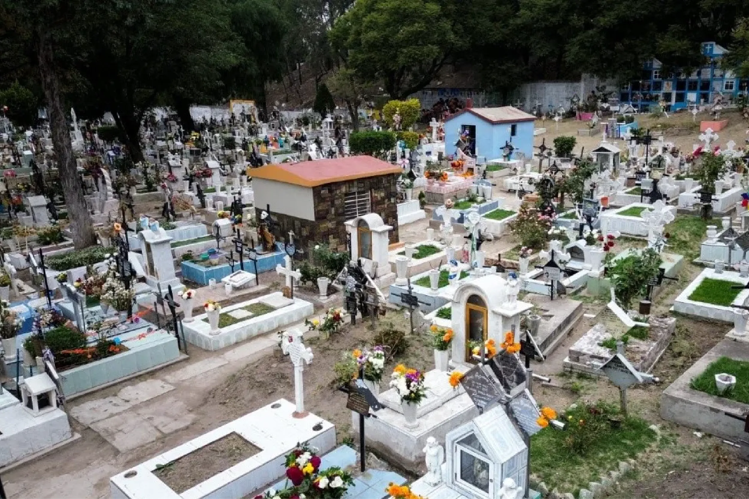 Día de Muertos CDMX.