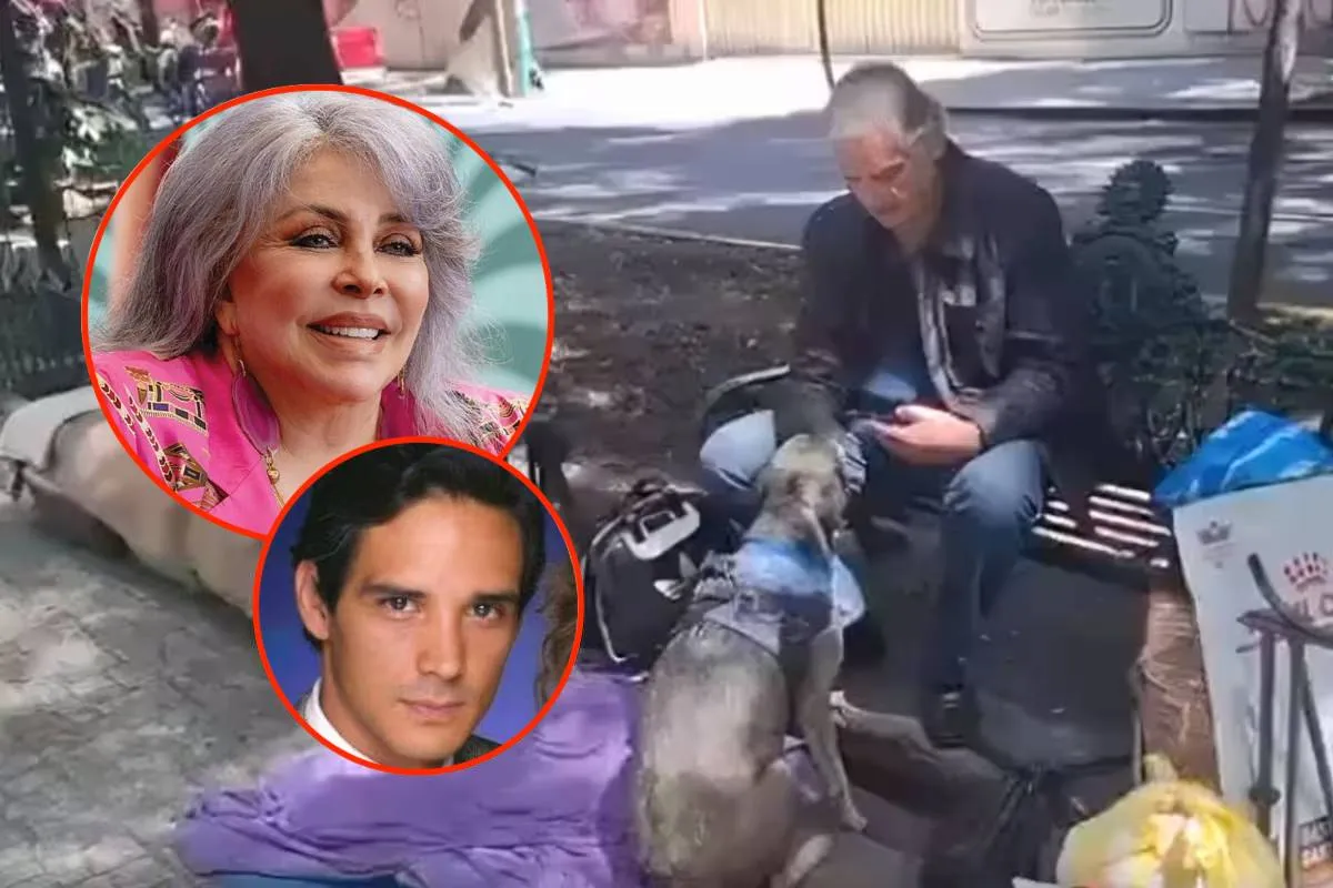 Fans de Rosa Salvaje piden ayuda a Verónica Castro tras revelarse que Alejandro Landero vive en la calle