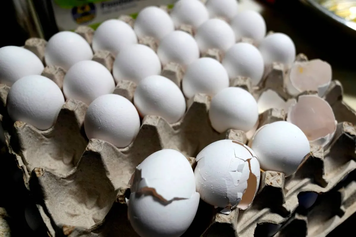 Retiran paquetes de huevo en tiendas por contaminación con salmonela