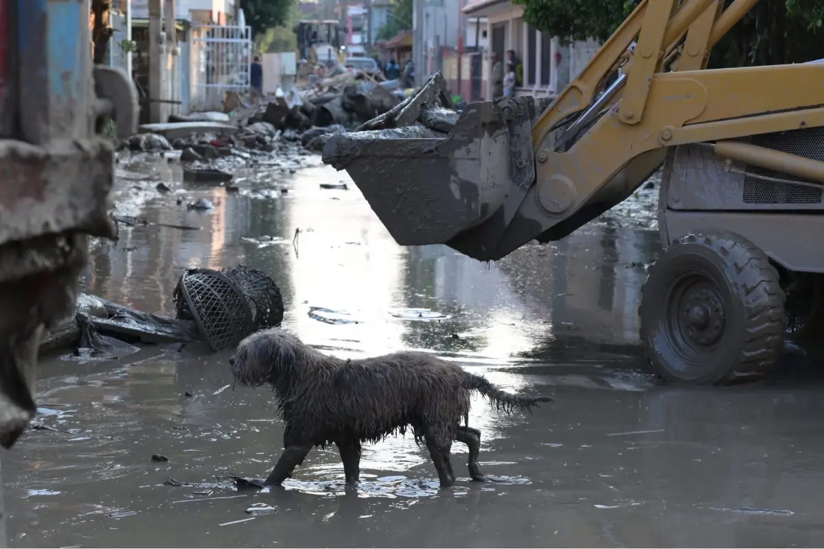 Las lluvias torrenciales de los últimos días han provocado inundaciones severas. Foto: Facebook