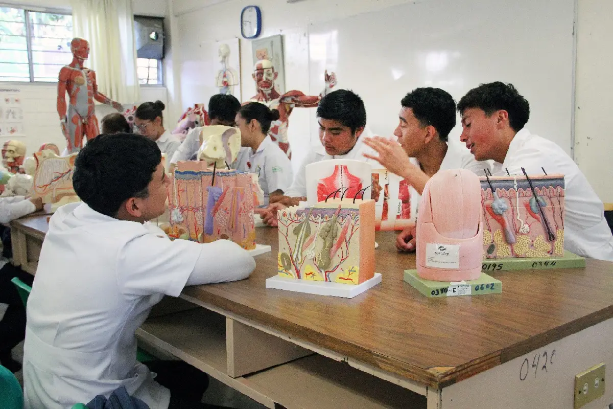 Su objetivo es fortalecer la comprensión del nuevo modelo y enriquecer la actualización curricular con la experiencia y propuestas de las y los docentes.