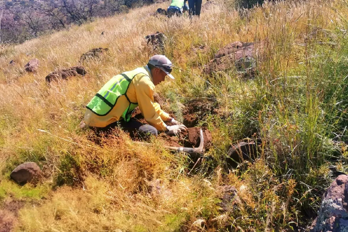 Participan 33 especialistas en supervisión ambiental apoyados con 17 cámaras de fototrampeo.