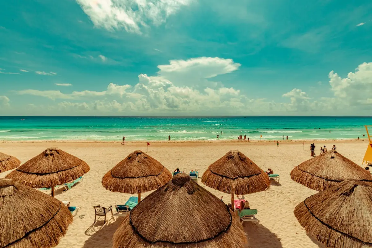 Diputados aprueban ley para garantizar un acceso libre a playas y áreas naturales. | Foto: Pexels.