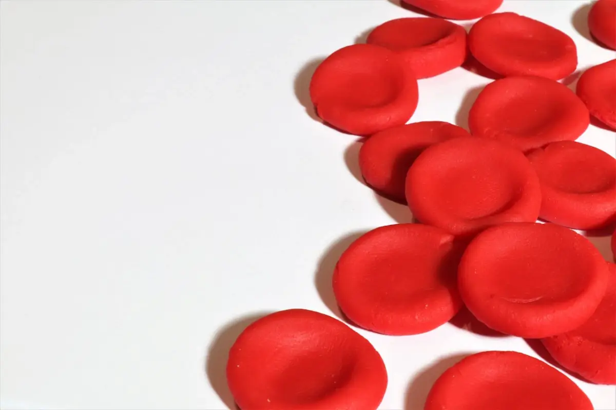 El Premio Nobel de Medicina 2025 se les otorgó a Mary E. Brunkow, Fred Ramsdell y Shimon Sakaguchi por sus descubrimientos sobre la tolerancia inmunológica periférica. | Foto: Pexels.
