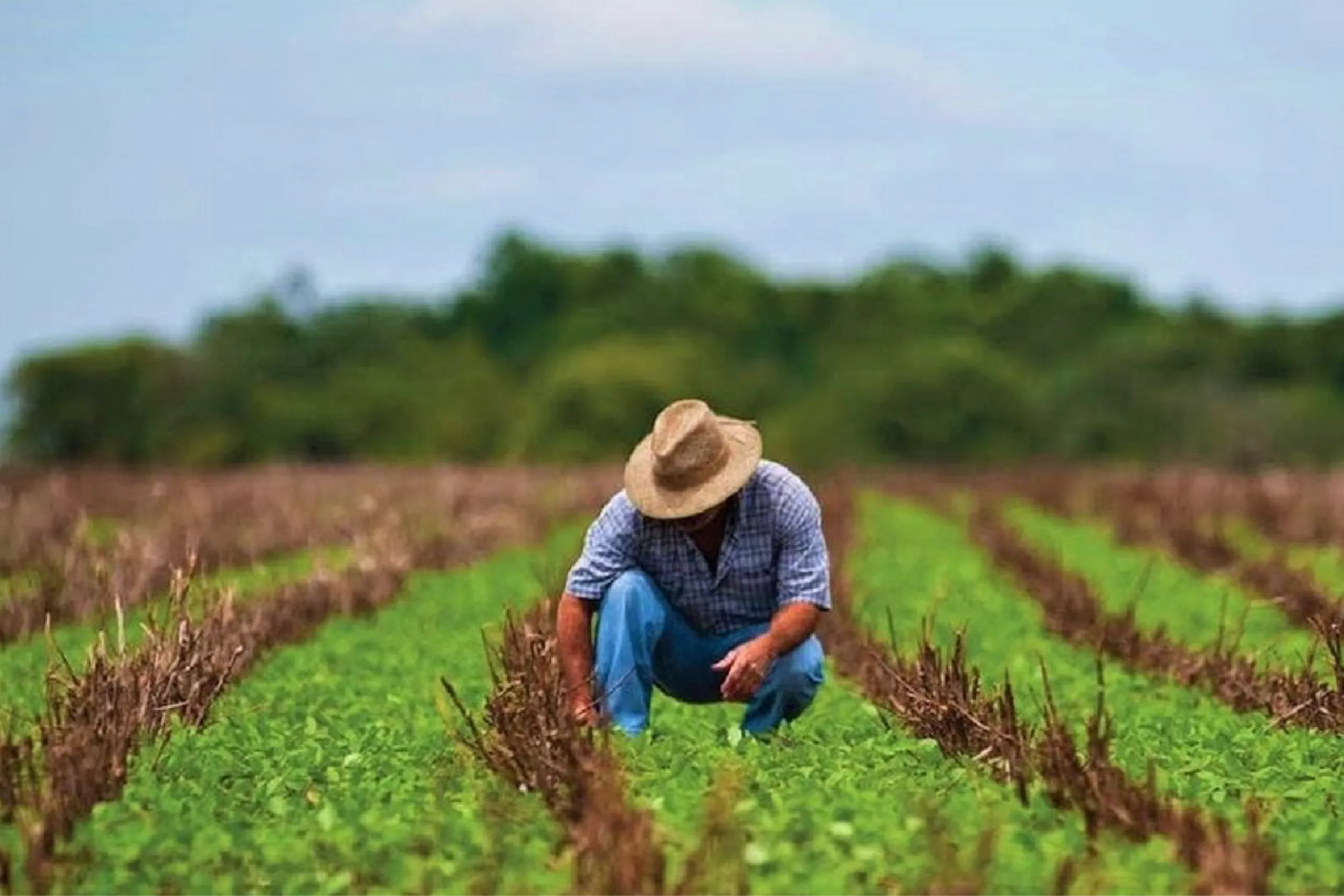 Crece robo a transportistas 35%