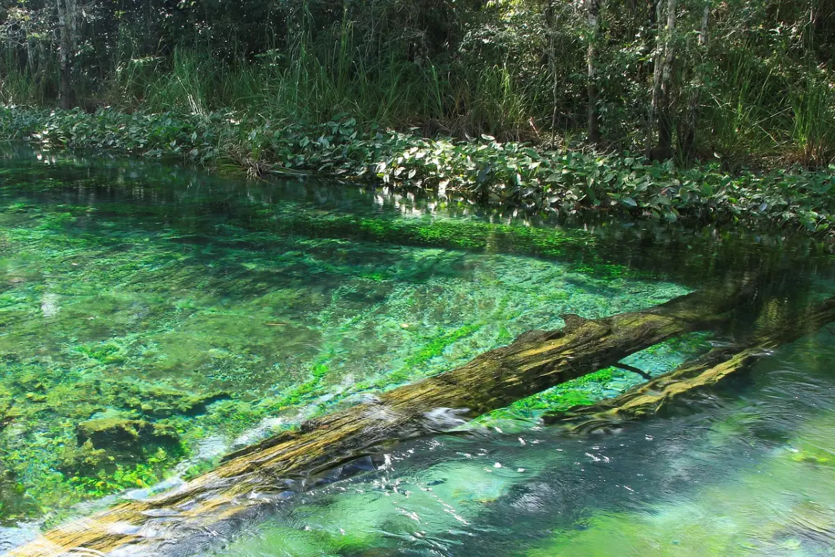 Chiapas ofrece mucho más que belleza natural: es una lección viva de respeto por la tierra y por las personas que la habitan.