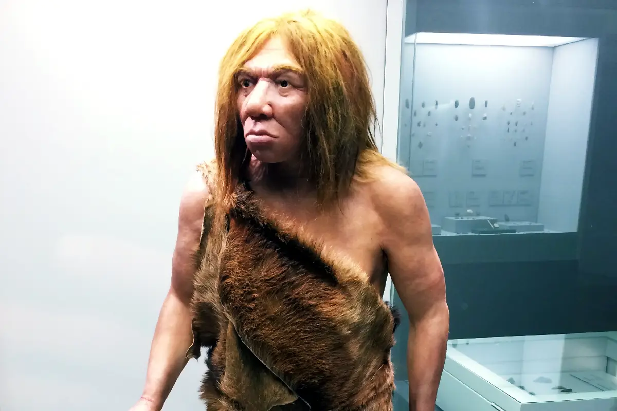 Científicos estudian más detalles del El neandertal de Altamura. | Foto: Wikimedia Commons.