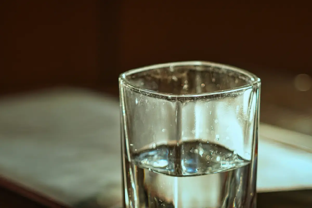 La cantidad exacta de agua varía según la edad, el peso, el clima y la actividad diaria.