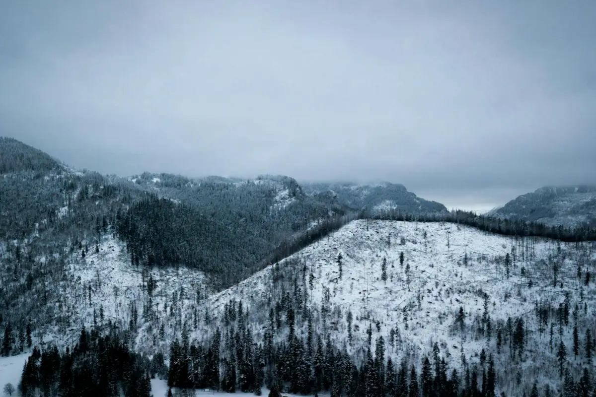 El SMN advierte de condiciones de frío extremo en varias regiones del país. | Foto: Pexels.
