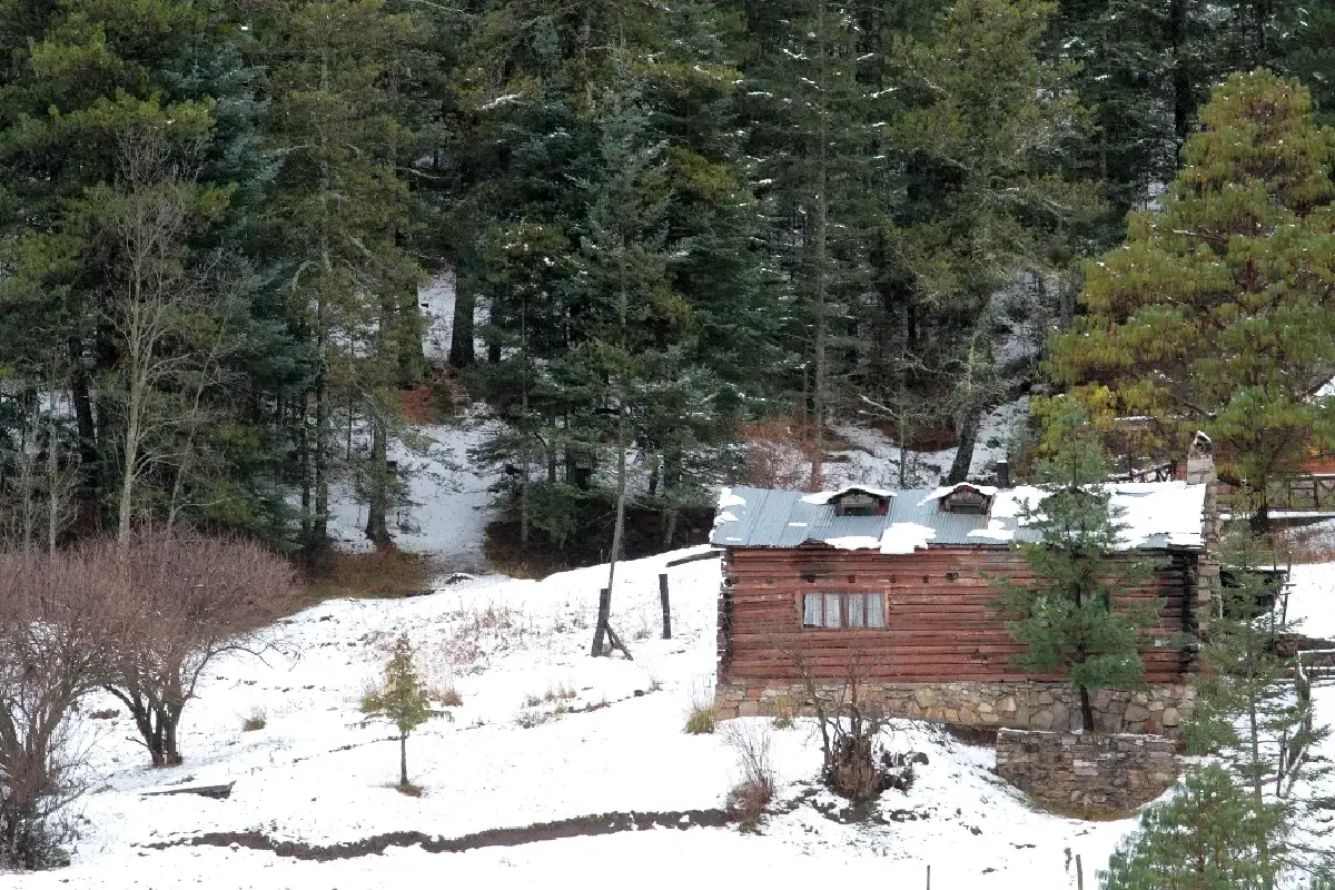 Elegir el destino ideal depende del tipo de experiencia que se busque. Ya sea playa, ciudad o naturaleza, México tiene opciones para celebrar en grande.
