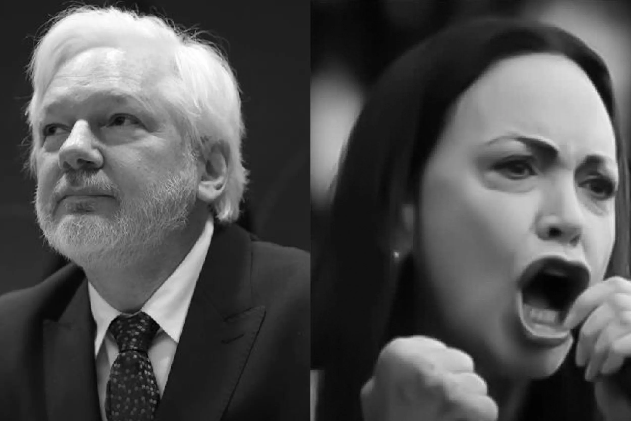 Julian Assange denunció a la Fundación Nobel.