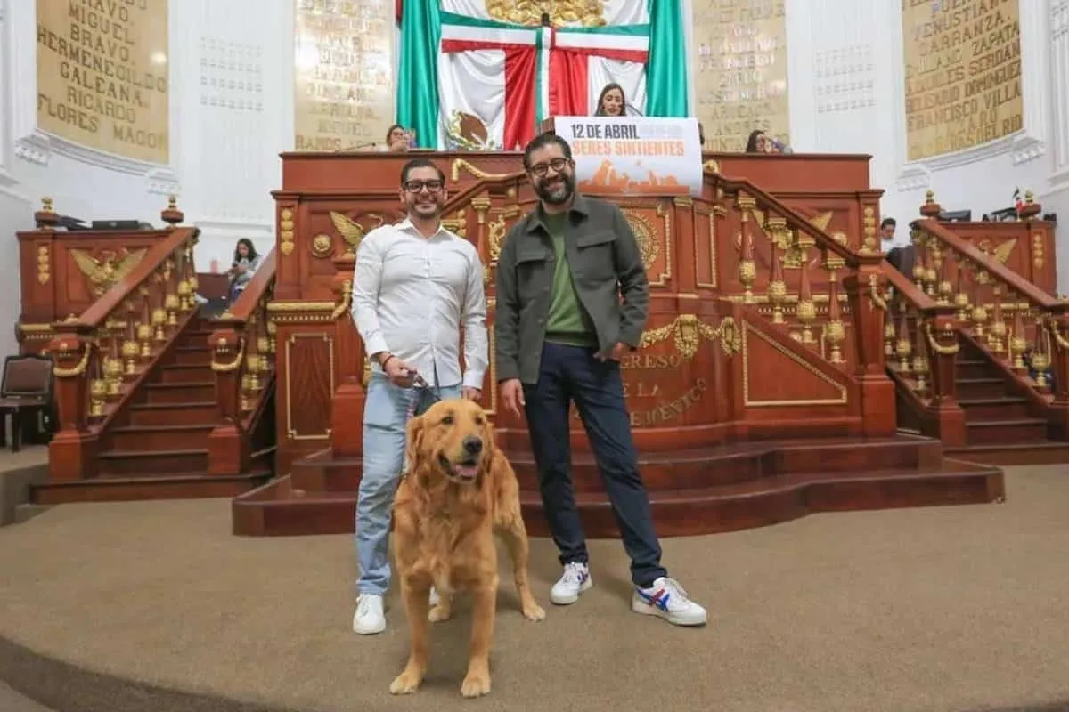 Congreso de CDMX aprueba el 12 de abril como Día de los Seres Sintientes