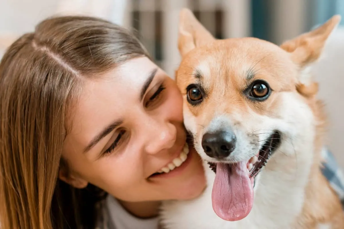 El Registro Único de Mascotas busca proteger a perros y gatos en CDMX y fomentar la tenencia responsable sin costo para los tutores.