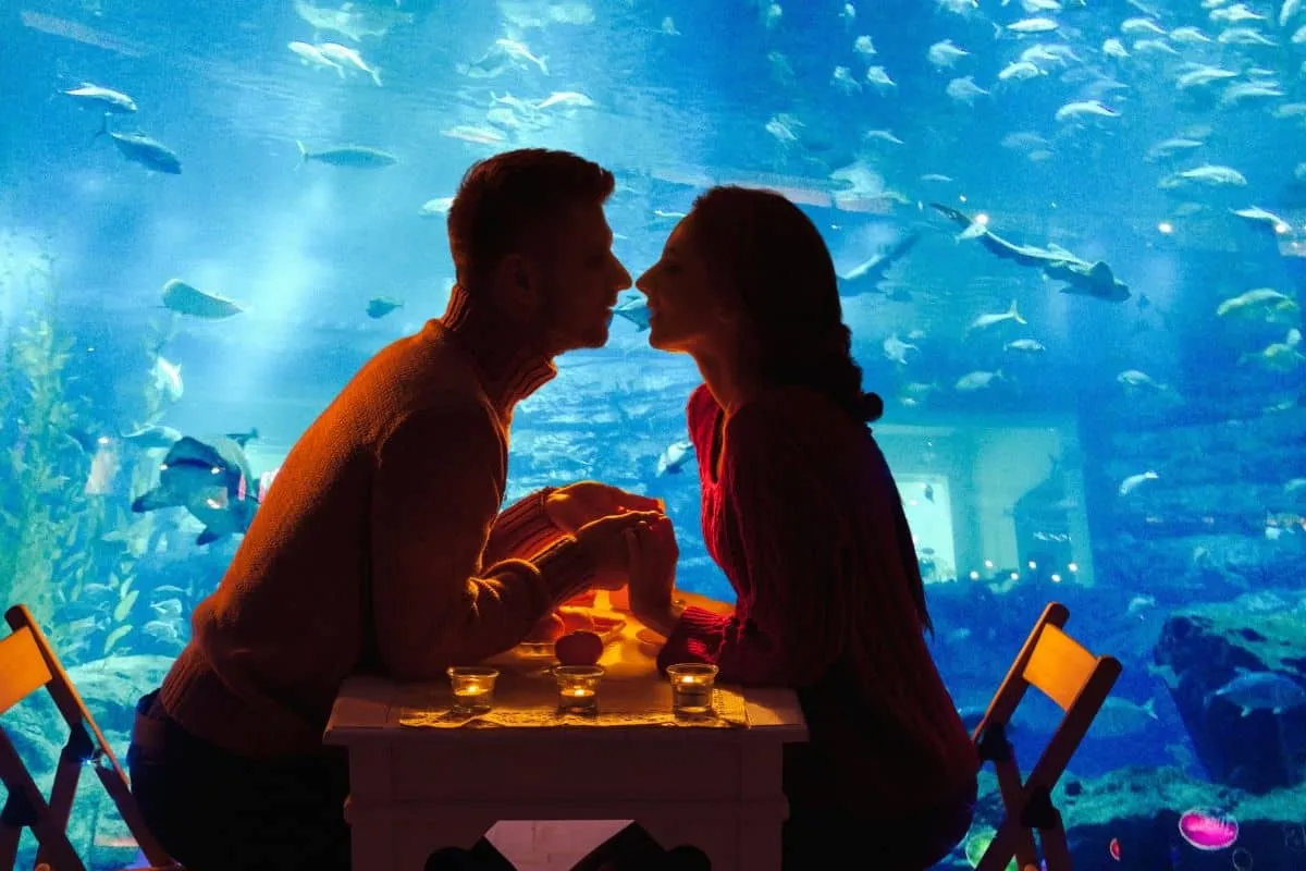 Cena romántica bajo el mar en el Acuario Michin, Ciudad de México.