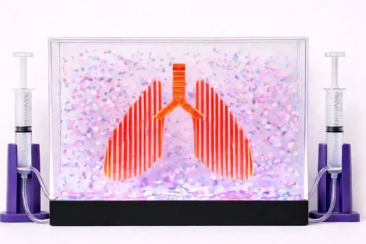 La exposición CuidArte reúne a artistas mexicanos que fusionan arte y ciencia para concientizar sobre la vacunación y la prevención de enfermedades respiratorias.