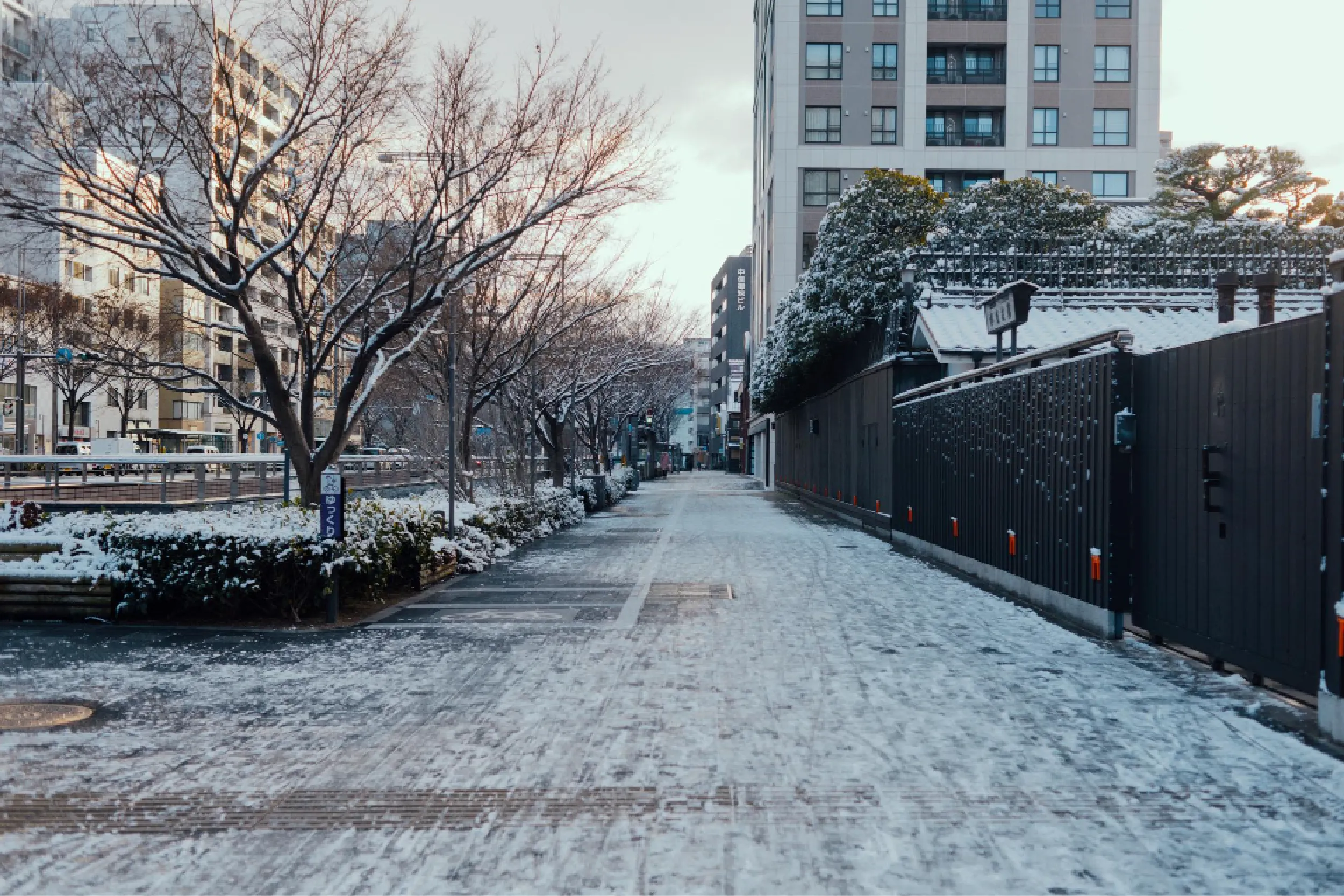 Tercera tormenta invernal, frente frío 31 y aire ártico azotarán gran parte de México.