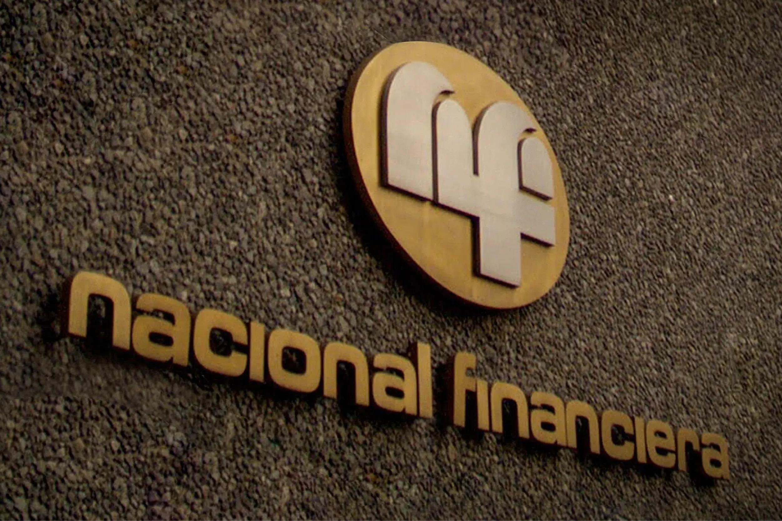 Gobierno cancela y reestructura deudas de la Financiera Nacional.