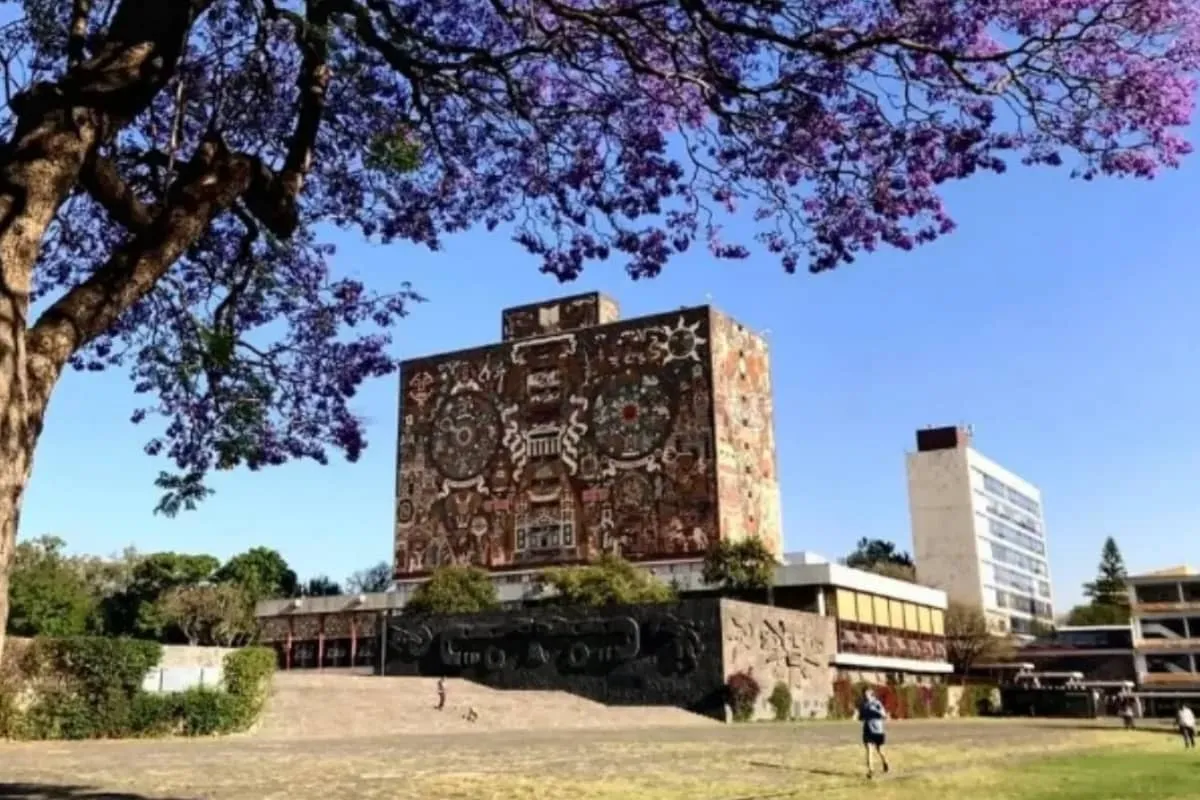 El Aleph 2026: arte y ciencia se unen en 154 actividades.