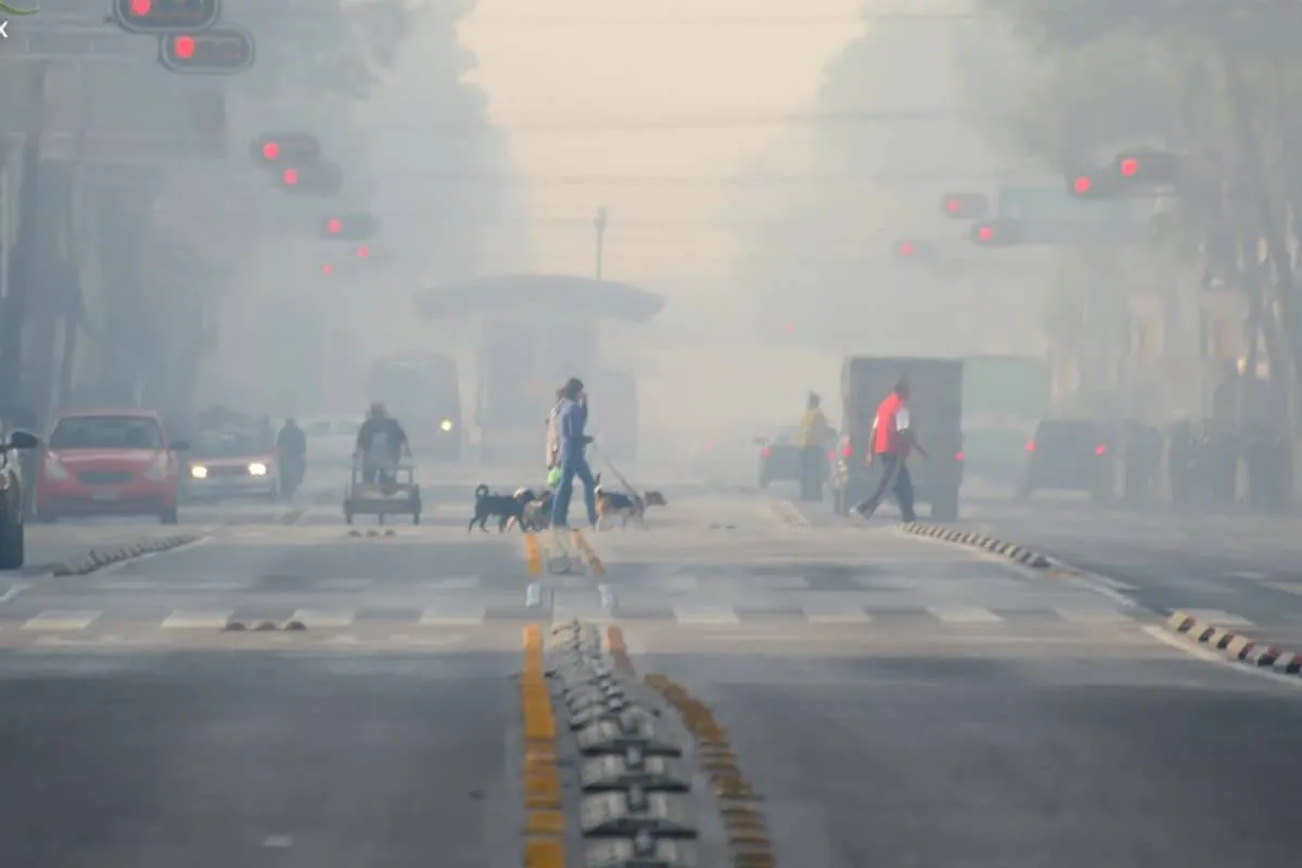 La CAMe determinó la activación de la Fase 1 de contingencia ambiental por ozono en diversas zonas del Valle de México tras registrar altos índices contaminantes, lo que derivó en medidas como el Doble Hoy No Circula para este viernes 9 de enero.