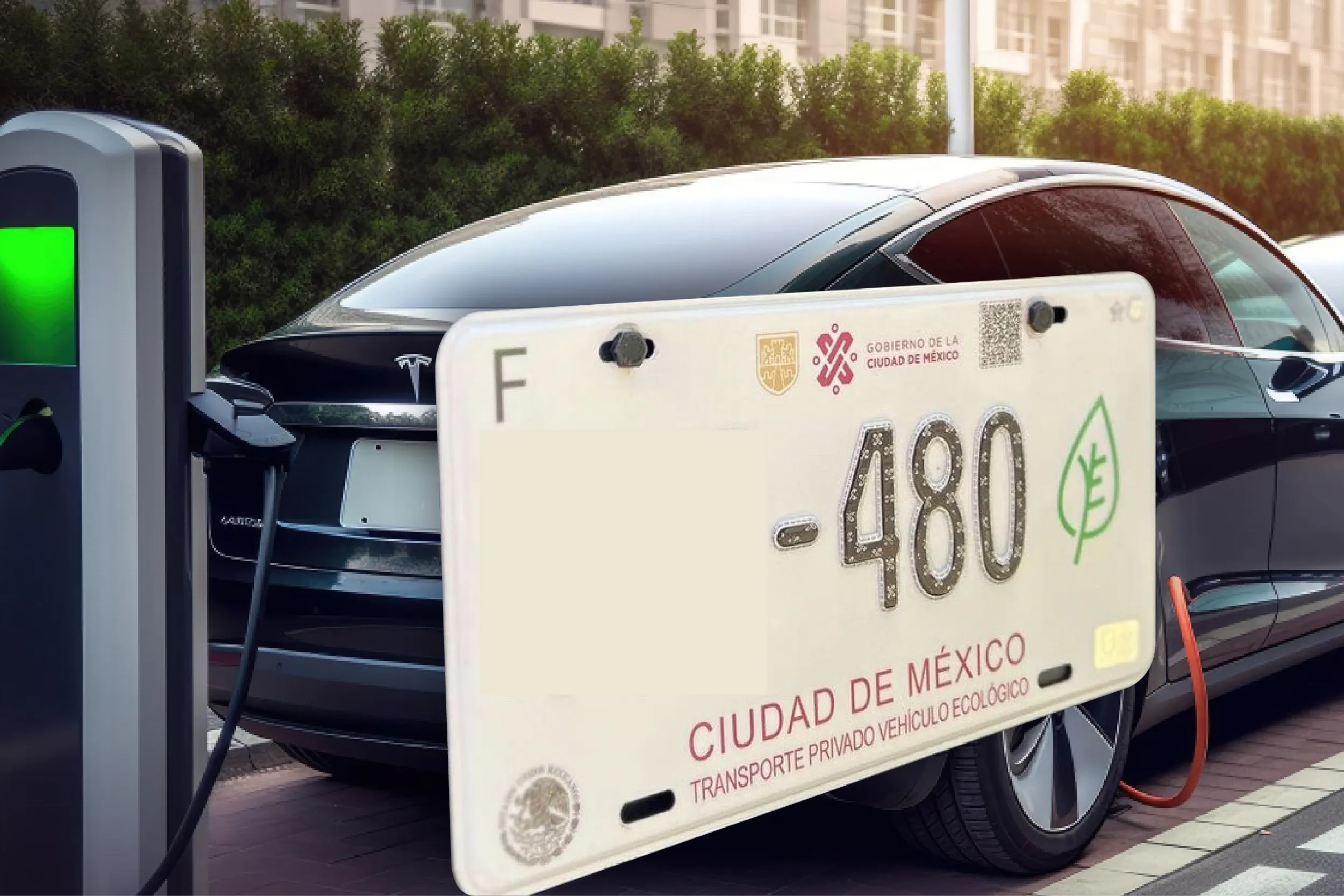 Placas verdes en México: ¿por qué ahora ya no dan beneficios?