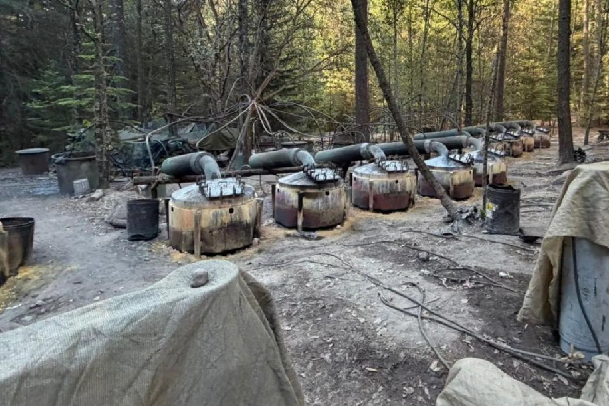 Row of rusted cylindrical tanks with green pipes running through a forested area.